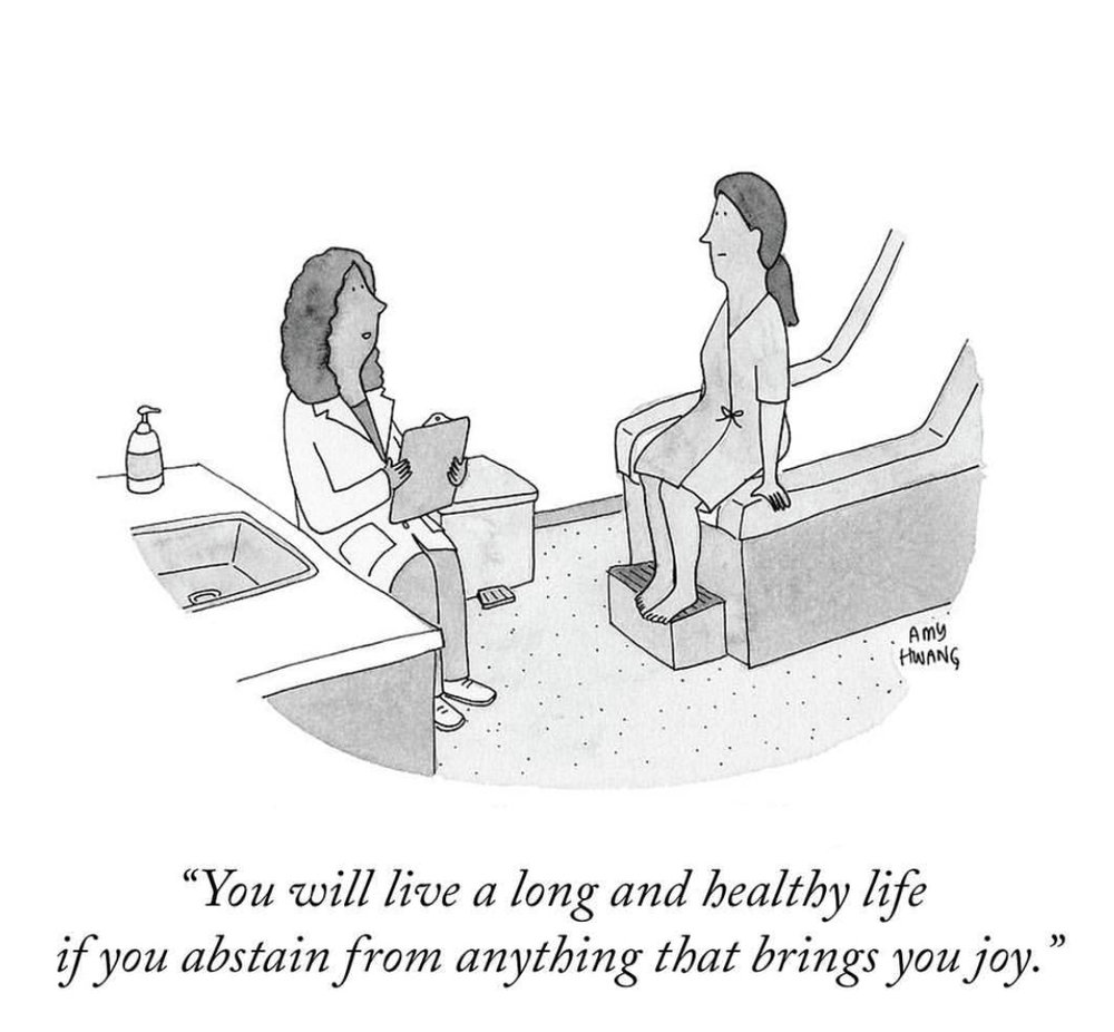  New Yorker Cartoons 