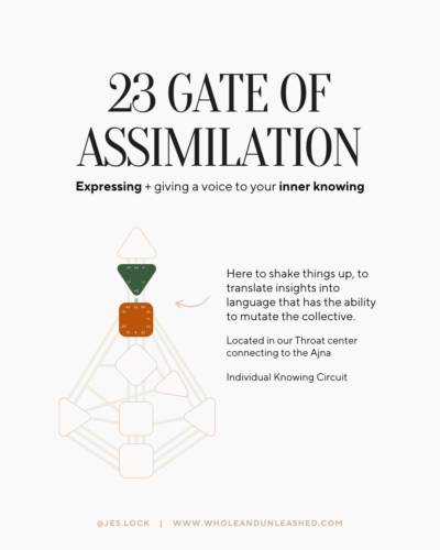 23 Gate Of Assimilation Wholeandunleashed Com   4 4 400x500 